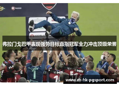 弗拉门戈巴甲表现强势目标直指冠军全力冲击顶级荣誉 弗拉门戈巴甲表现强势目标直指冠军全力冲击顶级荣誉