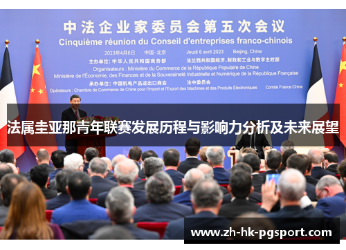 法属圭亚那青年联赛发展历程与影响力分析及未来展望 法属圭亚那青年联赛发展历程与影响力分析及未来展望