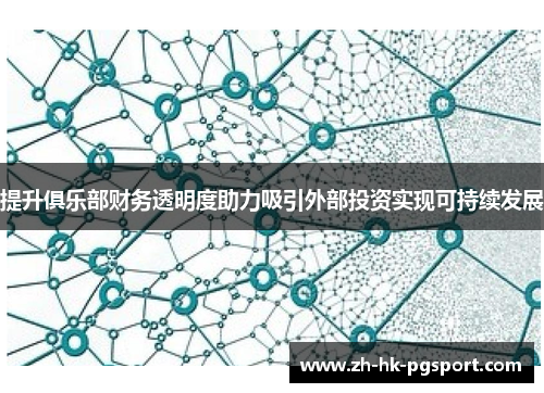 提升俱乐部财务透明度助力吸引外部投资实现可持续发展 提升俱乐部财务透明度助力吸引外部投资实现可持续发展