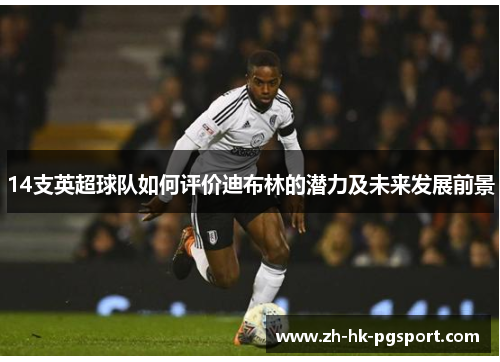 14支英超球队如何评价迪布林的潜力及未来发展前景 14支英超球队如何评价迪布林的潜力及未来发展前景