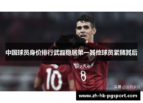 中国球员身价排行武磊稳居第一其他球员紧随其后 中国球员身价排行武磊稳居第一其他球员紧随其后