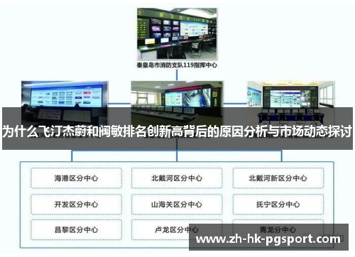 为什么飞汀杰蔚和阀敏排名创新高背后的原因分析与市场动态探讨 为什么飞汀杰蔚和阀敏排名创新高背后的原因分析与市场动态探讨