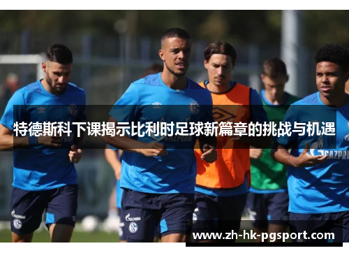特德斯科下课揭示比利时足球新篇章的挑战与机遇 特德斯科下课揭示比利时足球新篇章的挑战与机遇