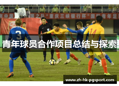 青年球员合作项目总结与探索 青年球员合作项目总结与探索