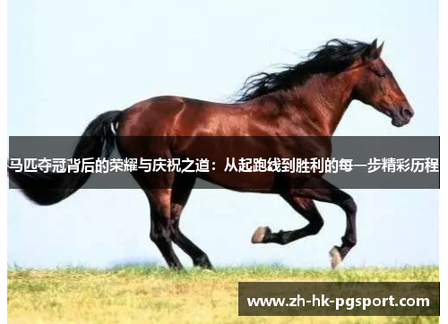 马匹夺冠背后的荣耀与庆祝之道:从起跑线到胜利的每一步精彩历程 马匹夺冠背后的荣耀与庆祝之道:从起跑线到胜利的每一步精彩历程